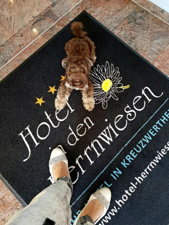 Hotel In Den Herrnwiesen Wertheim Exterior photo